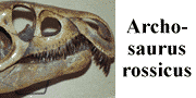 go to Archosaur rossicus