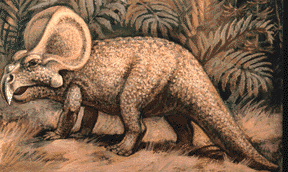 protoceratops reconstruction
