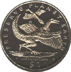 archaeopteryx coin