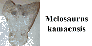 go to Melosaurus