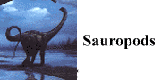 go to Sauropods