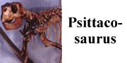 go to Psittacosaurus mongoliensis