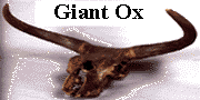 go to giant ox