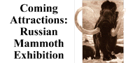 go to Great Russian Mammoth exhibition